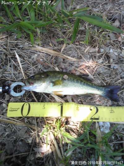 �֥�å��Х�