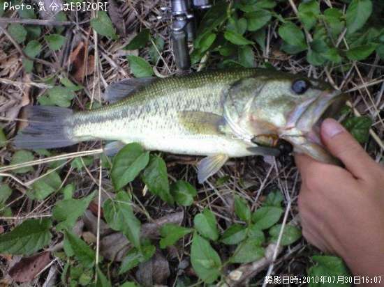 �֥�å��Х�