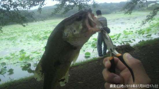 �֥�å��Х�