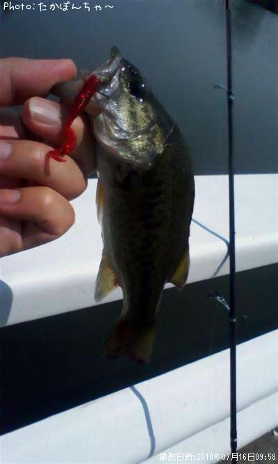 �֥�å��Х�