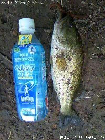 �֥�å��Х�