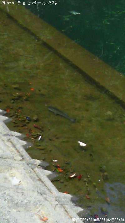 �֥�å��Х�