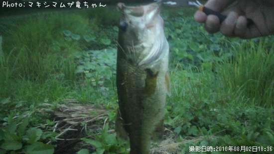 �֥�å��Х�