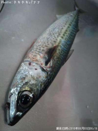 ���ޥ���