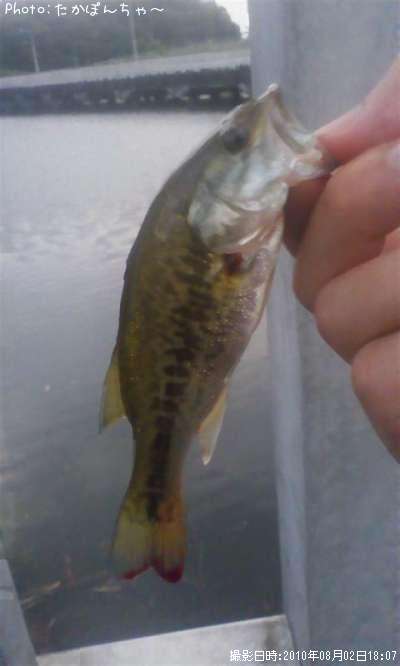 �֥�å��Х�