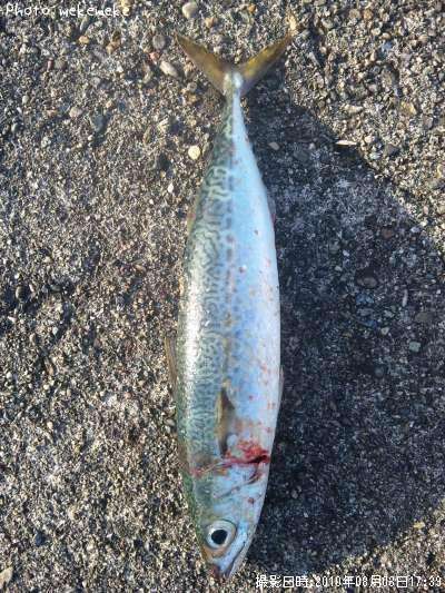 ���ޥ���