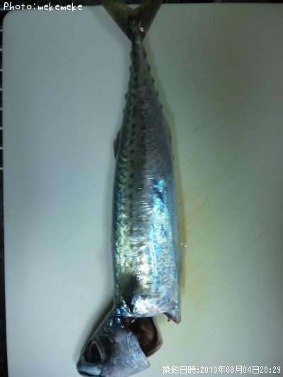 ���ޥ���