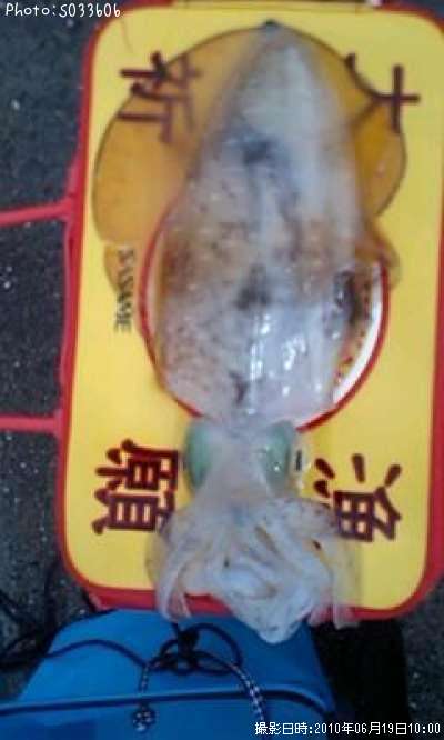 �����ꥤ��