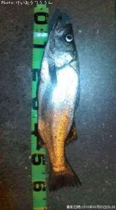 �ҥ饹����