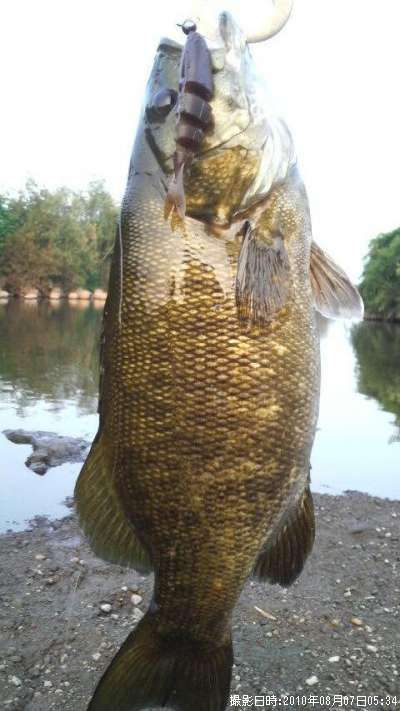 �֥�å��Х�