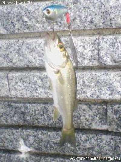 �����Х�