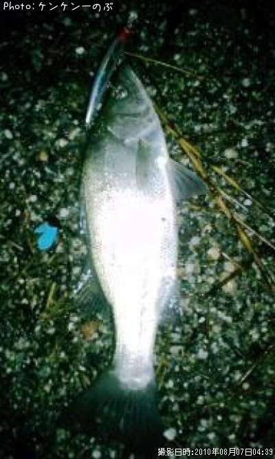 �ҥ饹����