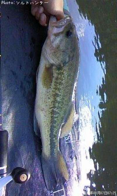 �֥�å��Х�