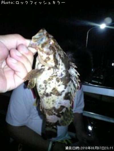 �٥å�������