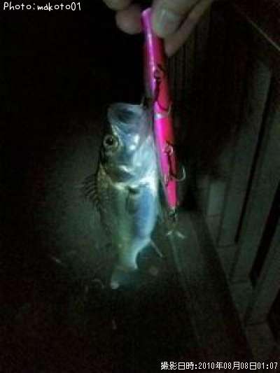 �����Х�