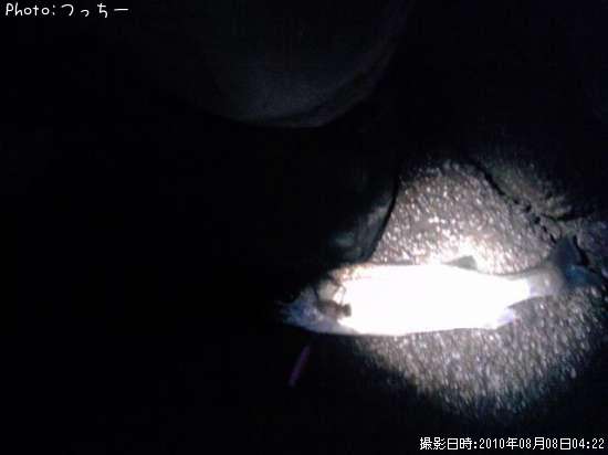 �����Х�