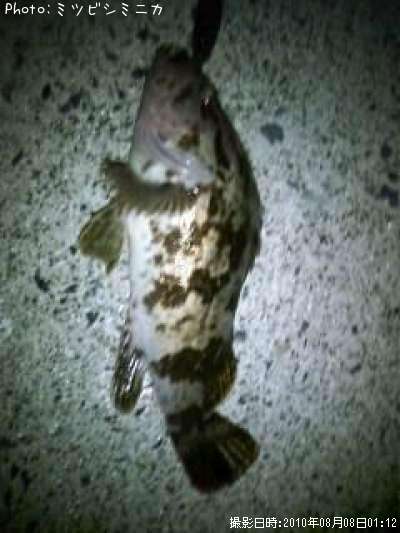 �����Υ���Х�