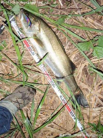 �����Х�