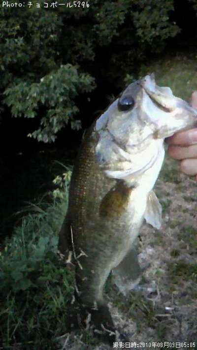 �֥�å��Х�