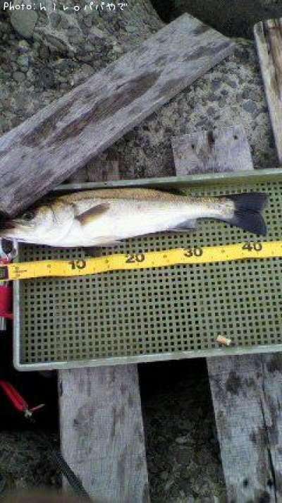 �����Х�