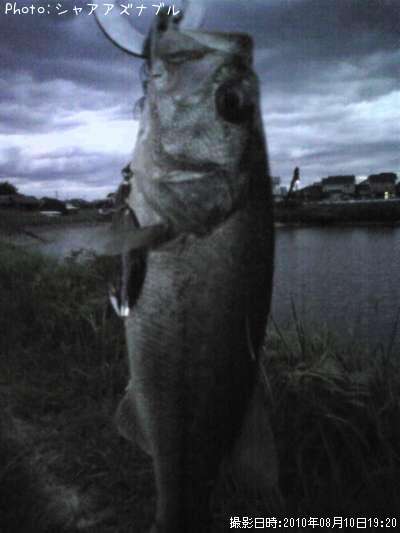 �֥�å��Х�