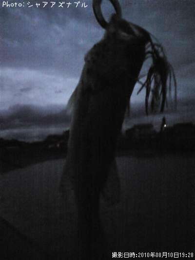 �֥�å��Х�