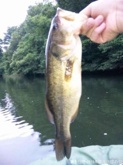 �֥�å��Х�