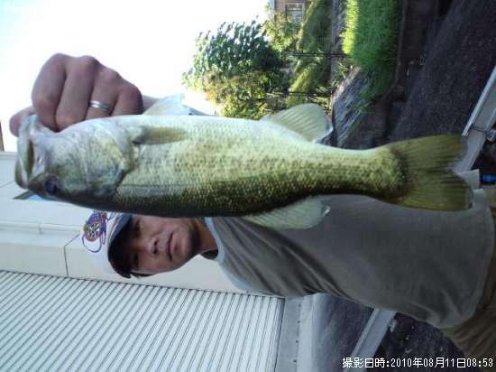 �֥�å��Х�