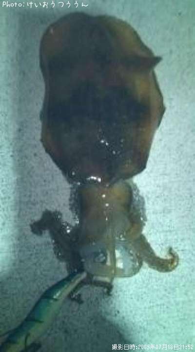 �����ꥤ��