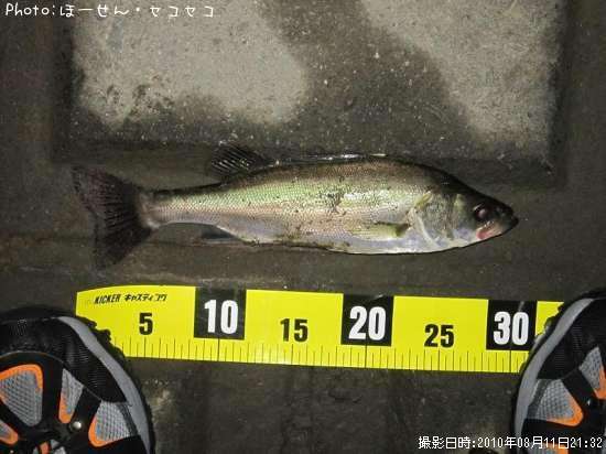 �����Х�