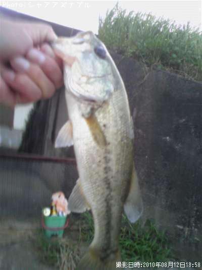 �֥�å��Х�