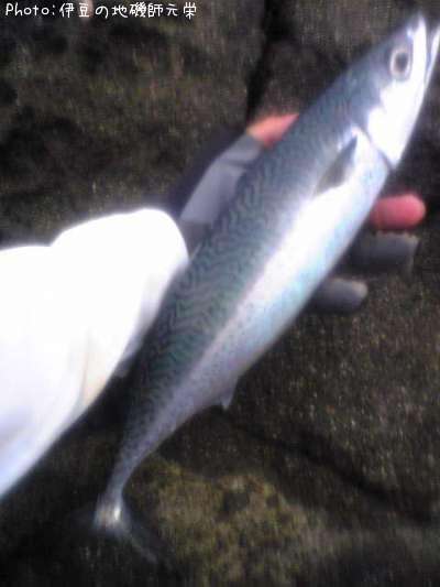 ���ޥ���