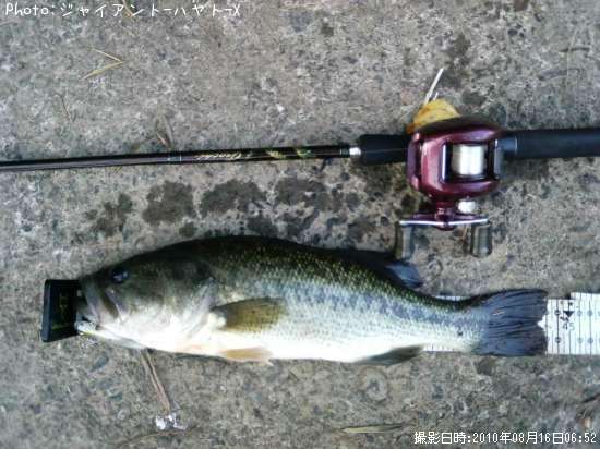 �֥�å��Х�