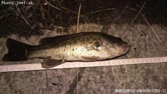 �֥�å��Х�