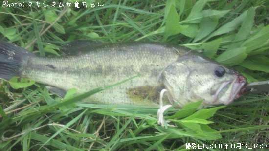 �֥�å��Х�