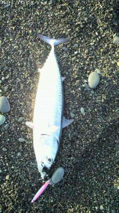 �ޥ륽����