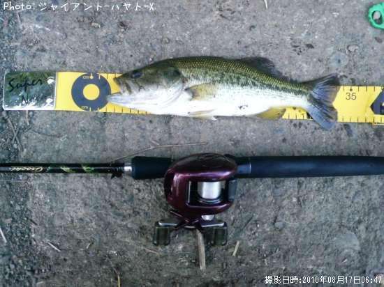 �֥�å��Х�