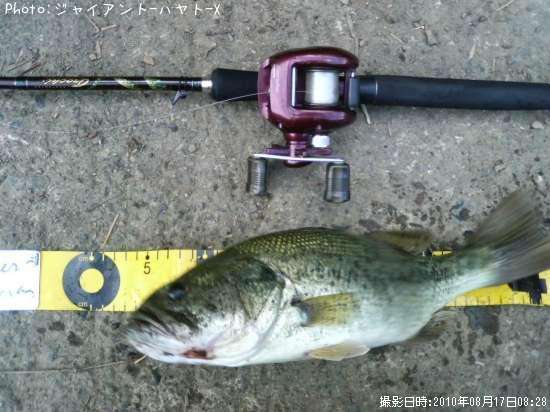 �֥�å��Х�