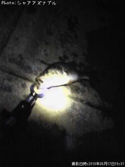 �֥�å��Х�