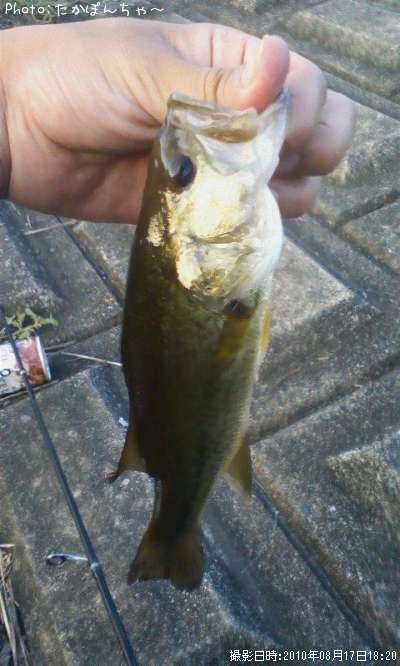 �֥�å��Х�