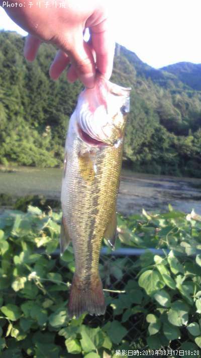 �֥�å��Х�