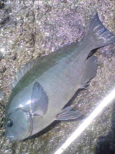 �����᥸��