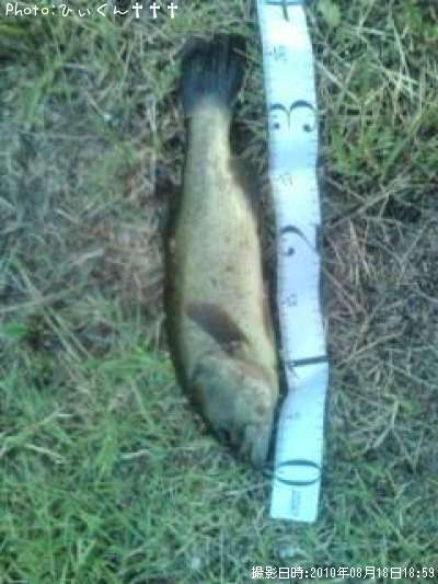 �֥�å��Х�