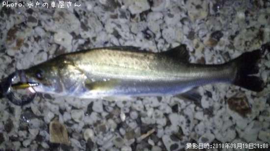 �����Х�