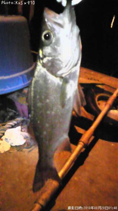 �����Х�