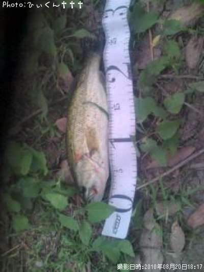 �֥�å��Х�