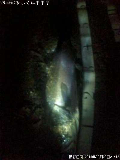 �����Х�