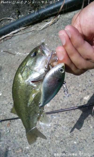 �֥�å��Х�