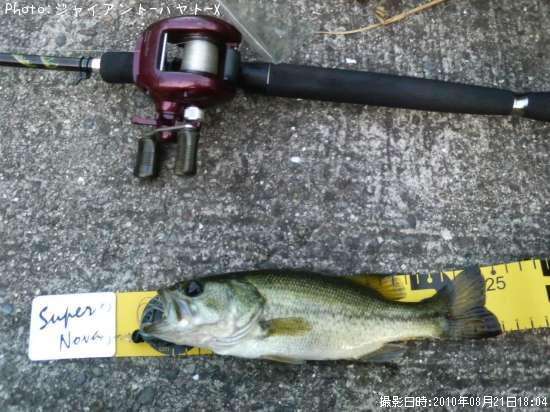 �֥�å��Х�