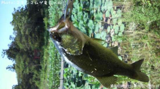 �֥�å��Х�